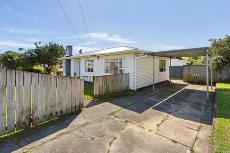 Photo of property in 41 Leicester Street, Cannons Creek, Porirua, 5024