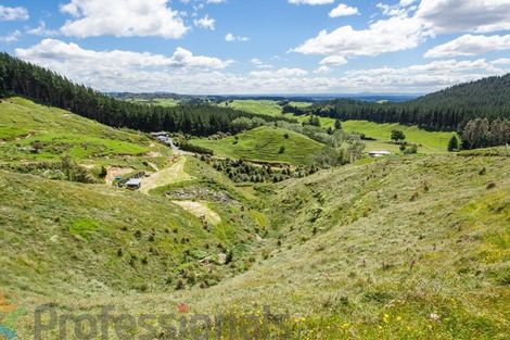 Photo of property in 1377e Manawahe Road, Manawahe, Whakatane, 3194