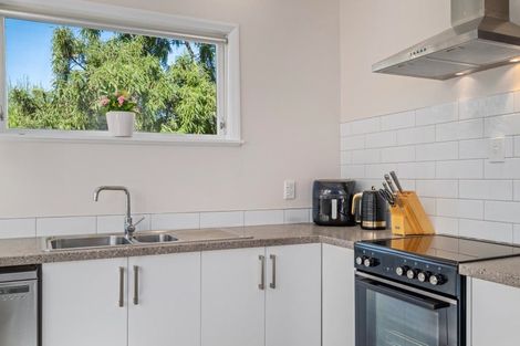 Photo of property in 33 Monro Street, Blenheim, 7201