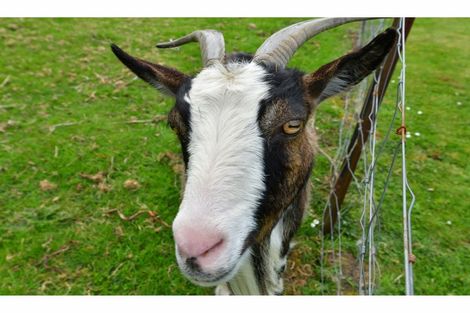 Photo of property in 24 Puhoi Close, Puhoi, Warkworth, 0994