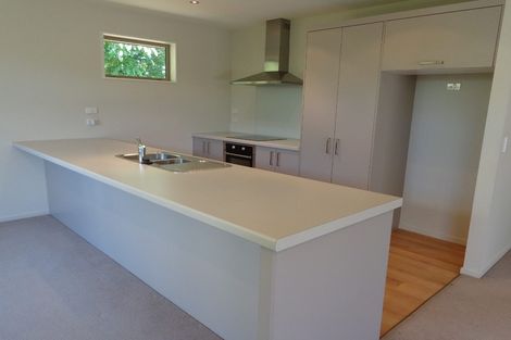 Photo of property in 97e Opawa Road, Opawa, Christchurch, 8023