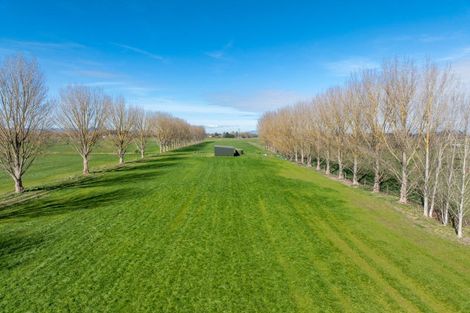 Photo of property in 258 Holland Road, Puketaha, Hamilton, 3286