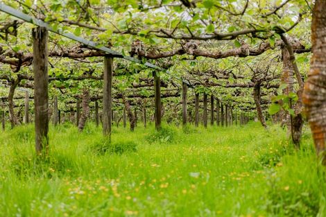 Photo of property in 837b Pyes Pa Road, Pyes Pa, Tauranga, 3173