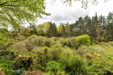 Photo of property in 140a Woodcock Road, Tamahere, Hamilton, 3283