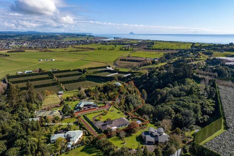 Photo of property in 155c Gow Road, Tirohanga, Opotiki, 3197