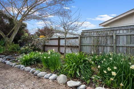 Photo of property in 1 Anglesea Street, Renwick, 7204