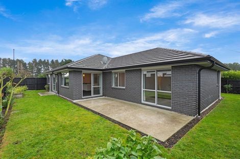 Photo of property in 12 Dunlops Crescent, Marshland, Christchurch, 8083