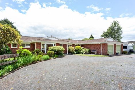 Photo of property in 113 Domain Road, Putaruru, 3482