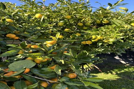 Photo of property in 88 Valley Road, Kawerau, 3127