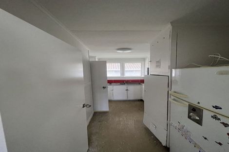 Photo of property in 46 Apirana Avenue, Glen Innes, Auckland, 1072