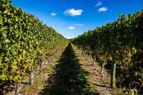 Photo of property in 5 Brook Street, Renwick, 7204