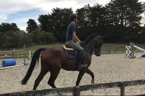 Photo of property in 19 Valley Road, Waitoki, Kaukapakapa, 0871