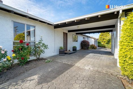 Photo of property in 16 Eastbank Street, Waverley, Dunedin, 9013