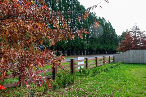 Photo of property in 46 Memorial Crescent, Methven, 7730