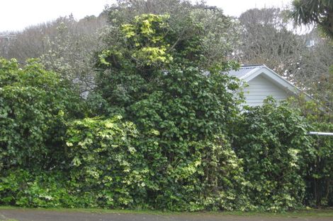 Photo of property in 299 Courtenay Street, Strandon, New Plymouth, 4312