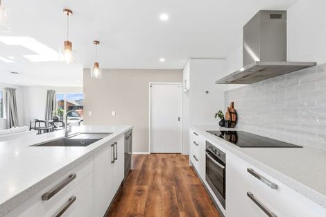 Photo of property in 40 Craig Thompson Drive, Lincoln, 7608