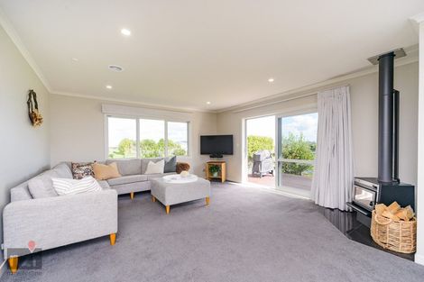 Photo of property in 12 Wapiti Avenue, Feilding, 4775
