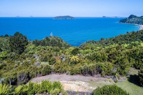 Photo of property in 160 Pumpkin Hill Road, Pumpkin Hill, Whitianga, 3591