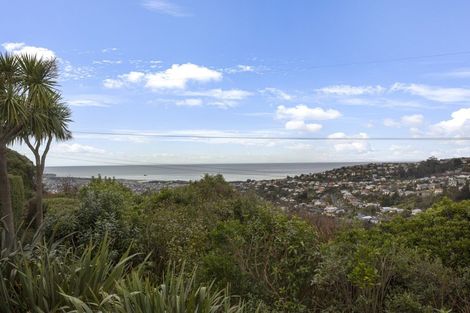 Photo of property in 21 Dorset Street, Balaclava, Dunedin, 9011