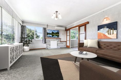 Photo of property in 13 Chelmsford Street, Silverdale, Hamilton, 3216