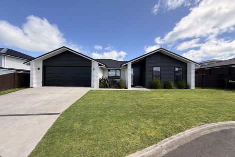 Photo of property in 9 Miharo Crescent, Flagstaff, Hamilton, 3210