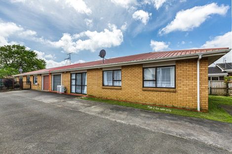 Photo of property in 35b Victoria Street, Pukekohe, 2120