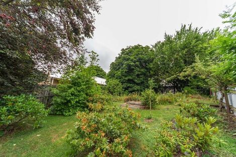 Photo of property in 24 Derwent Street, Naseby, 9396