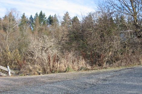 Photo of property in 21 Oughter Street, Naseby, 9396