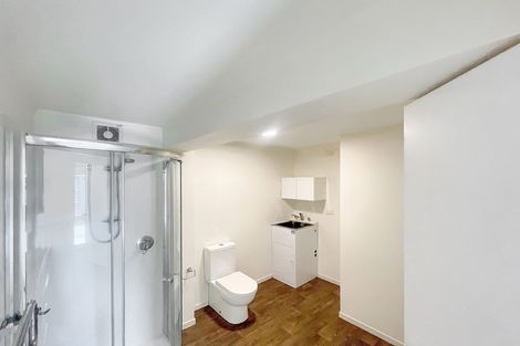 Photo of property in 47 Aurora Terrace, Hillcrest, Hamilton, 3216