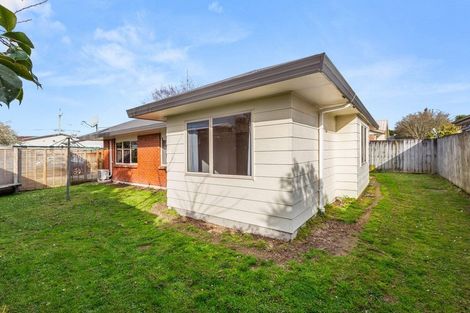 Photo of property in 195 Dey Street, Hamilton East, Hamilton, 3216