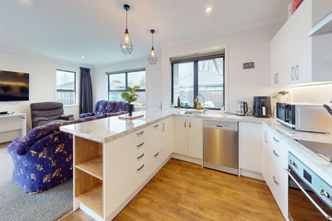 Photo of property in 58a Suffolk Street, Hampstead, Ashburton, 7700