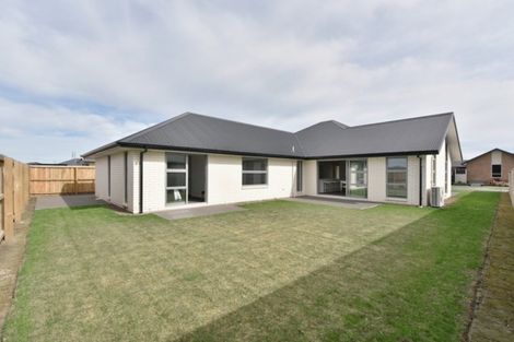 Photo of property in 5 Sunline Avenue, Lincoln, 7608