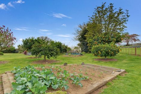 Photo of property in 169 Brotherhood Road, Kihikihi, Te Awamutu, 3875