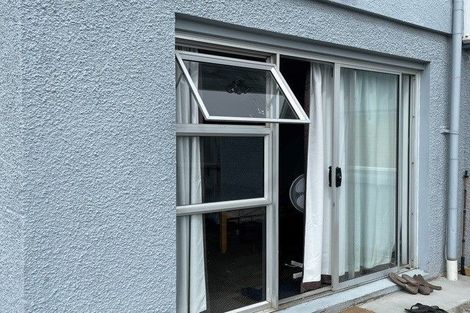 Photo of property in 57 Tripoli Road, Panmure, Auckland, 1072