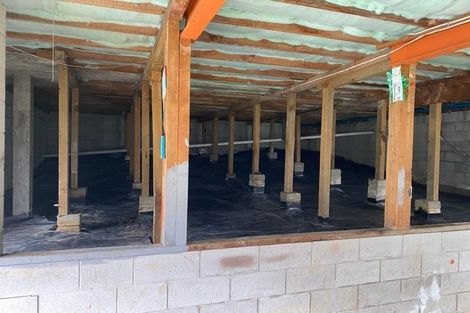 Photo of property in 162 Hutchinson Avenue, New Lynn, Auckland, 0600