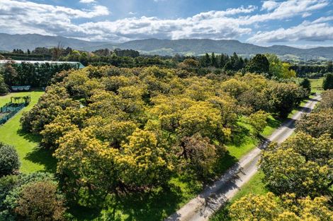 Photo of property in 85 Wharawhara Road, Tahawai, Katikati, 3178