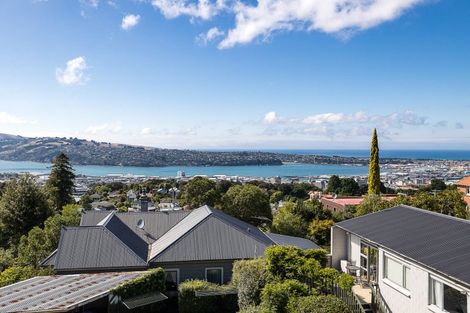 Photo of property in 14 Garfield Avenue, Roslyn, Dunedin, 9010