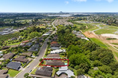 Photo of property in 117 Hollister Lane, Ohauiti, Tauranga, 3112