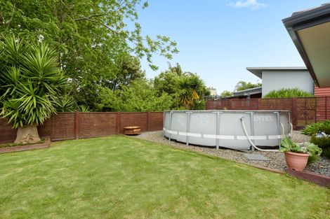 Photo of property in 117 Hollister Lane, Ohauiti, Tauranga, 3112