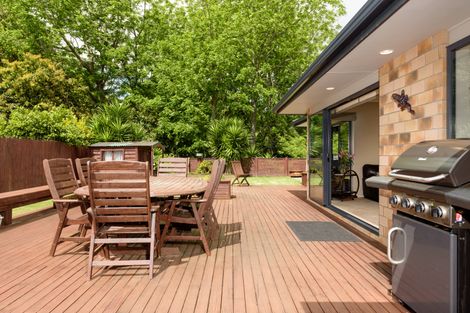 Photo of property in 117 Hollister Lane, Ohauiti, Tauranga, 3112