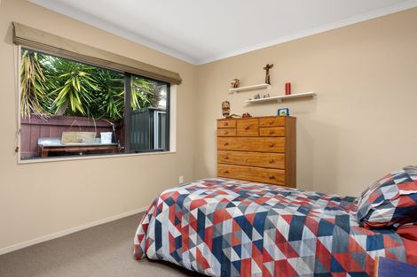 Photo of property in 117 Hollister Lane, Ohauiti, Tauranga, 3112