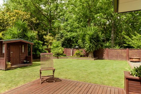 Photo of property in 117 Hollister Lane, Ohauiti, Tauranga, 3112