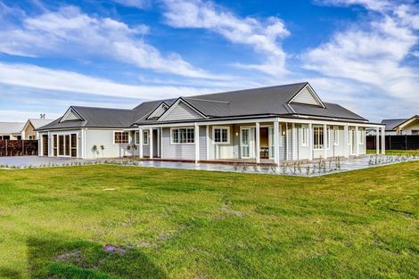 Photo of property in 24 Catalyst Avenue, Leamington, Cambridge, 3432