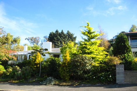 Photo of property in 21 Honeystone Street, Helensburgh, Dunedin, 9010