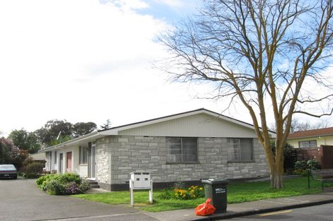 Photo of property in 6a Danvers Street, Havelock North, 4130