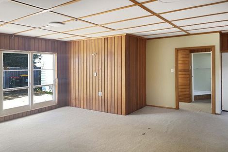 Photo of property in 24 Cornwall Street, Hutt Central, Lower Hutt, 5010