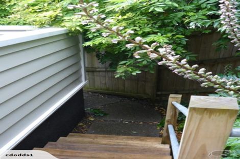 Photo of property in 20 Seabreeze Road, Narrow Neck, Auckland, 0624