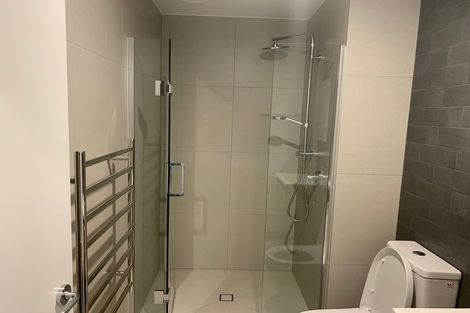 Photo of property in 213/428 Dominion Road, Mount Eden, Auckland, 1024