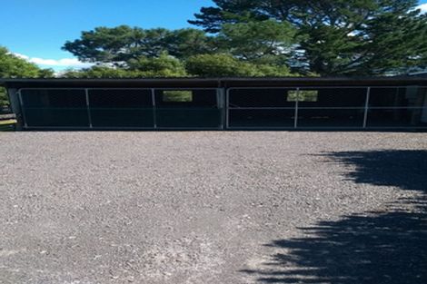 Photo of property in 167 Willoughby Road, Tahawai, Katikati, 3170