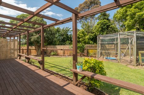 Photo of property in 36 Wylie Street, Gate Pa, Tauranga, 3112
